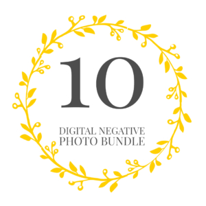 Bundle of 10 Digital Negatives Photo Files